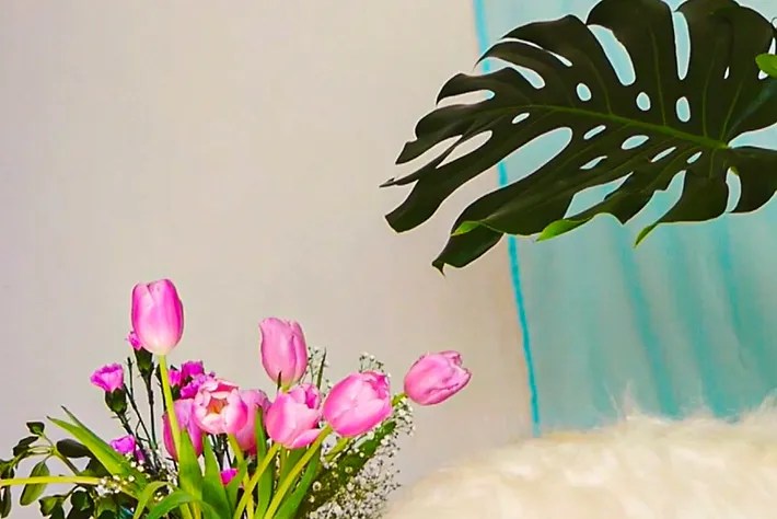 a screenshot from the film that includes bright pink tulips and a monstera leaf dropping into frame. 
